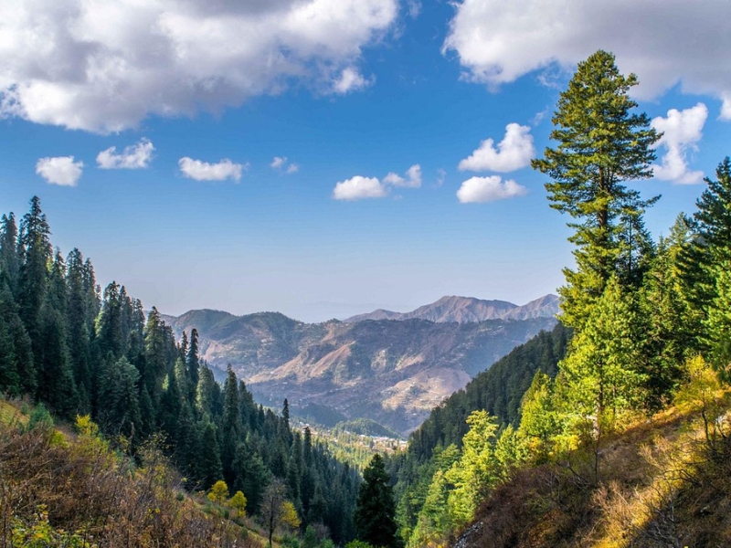 NATHIA GALI
