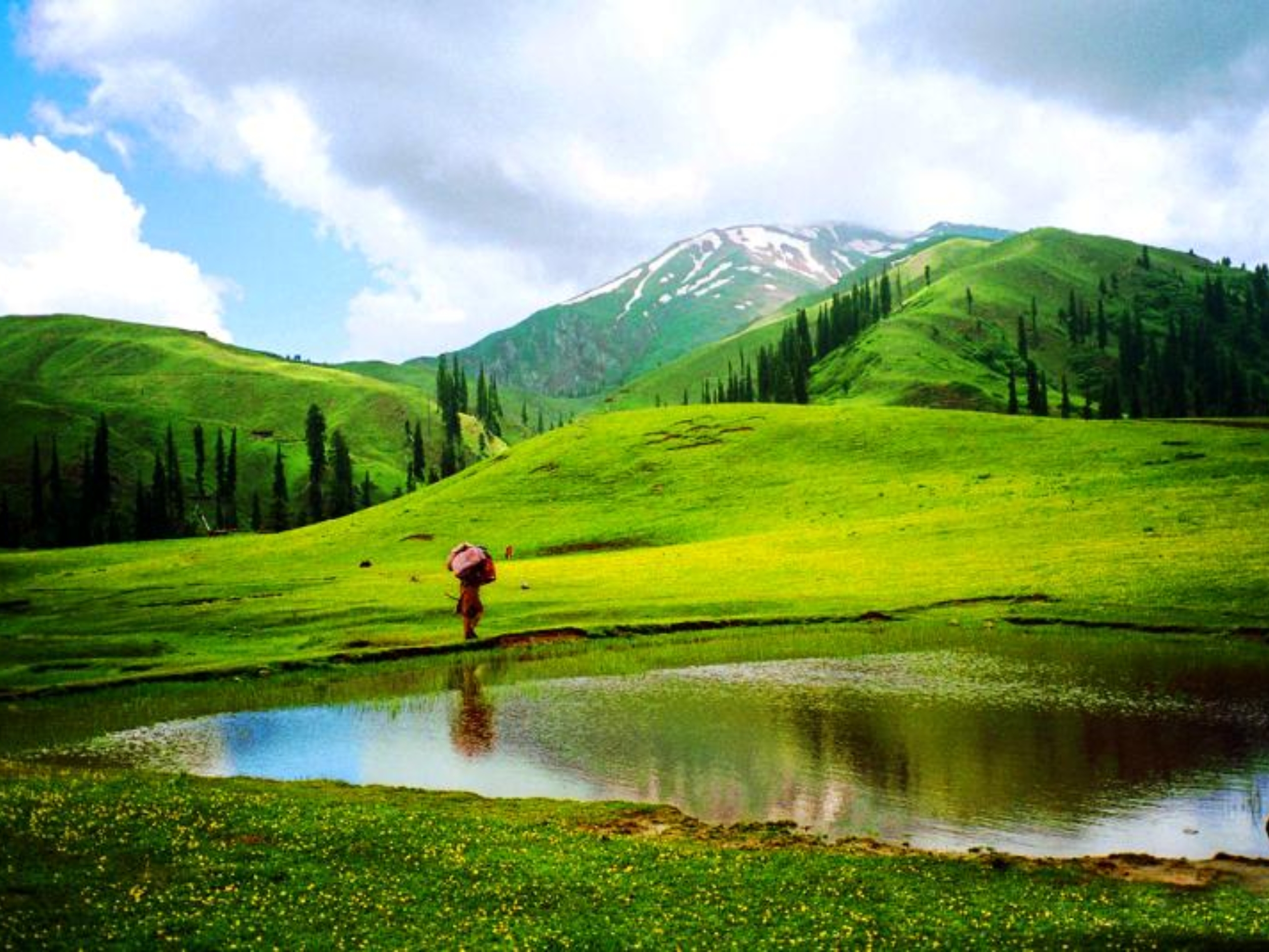 Shogran